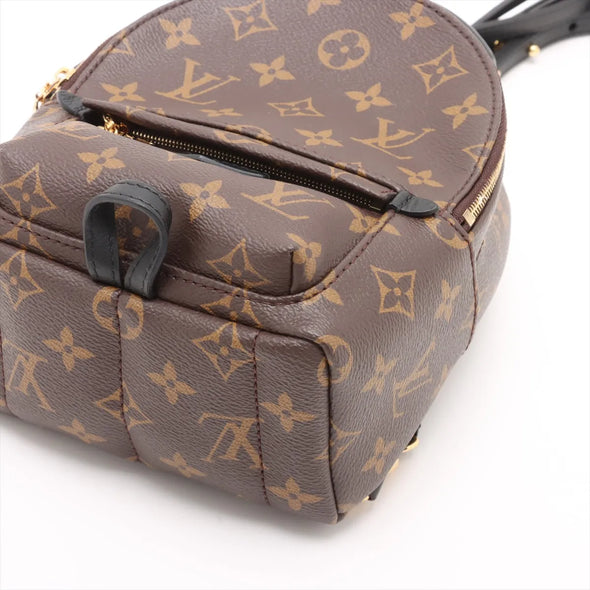 Louis Vuitton Monogram Canvas Palm Springs Mini Backpack [Clearance Sale]