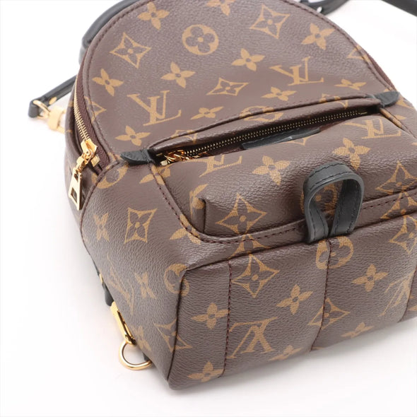 Louis Vuitton Monogram Canvas Palm Springs Mini Backpack [Clearance Sale]