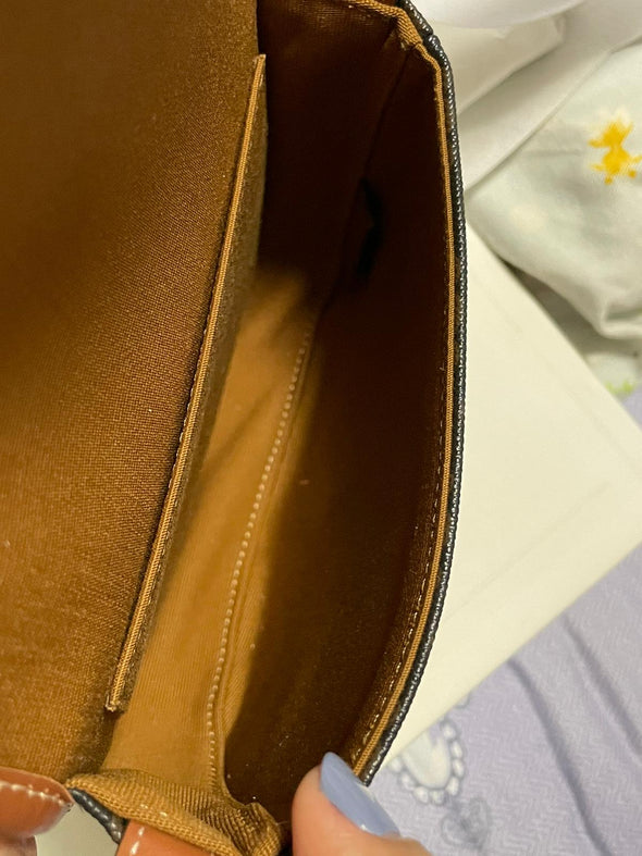 Celine Mini Besace in Triomphe Canvas and Calfskin